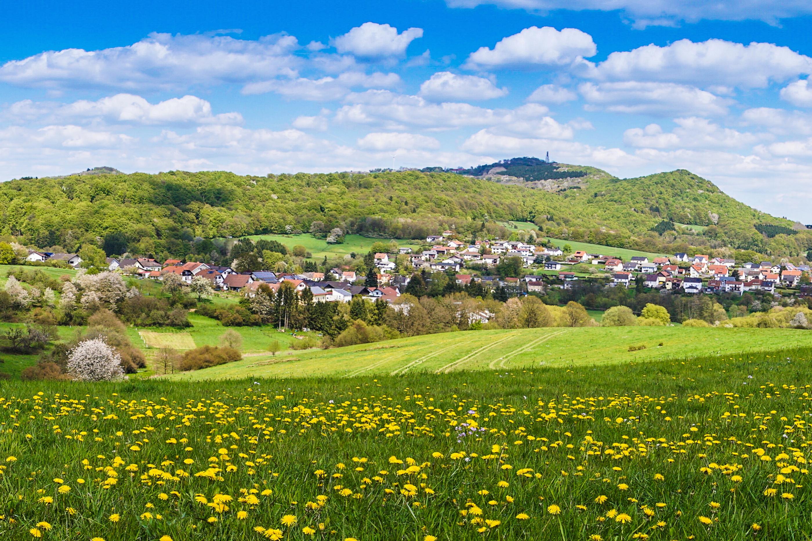 Schaumberg_Fruehling1