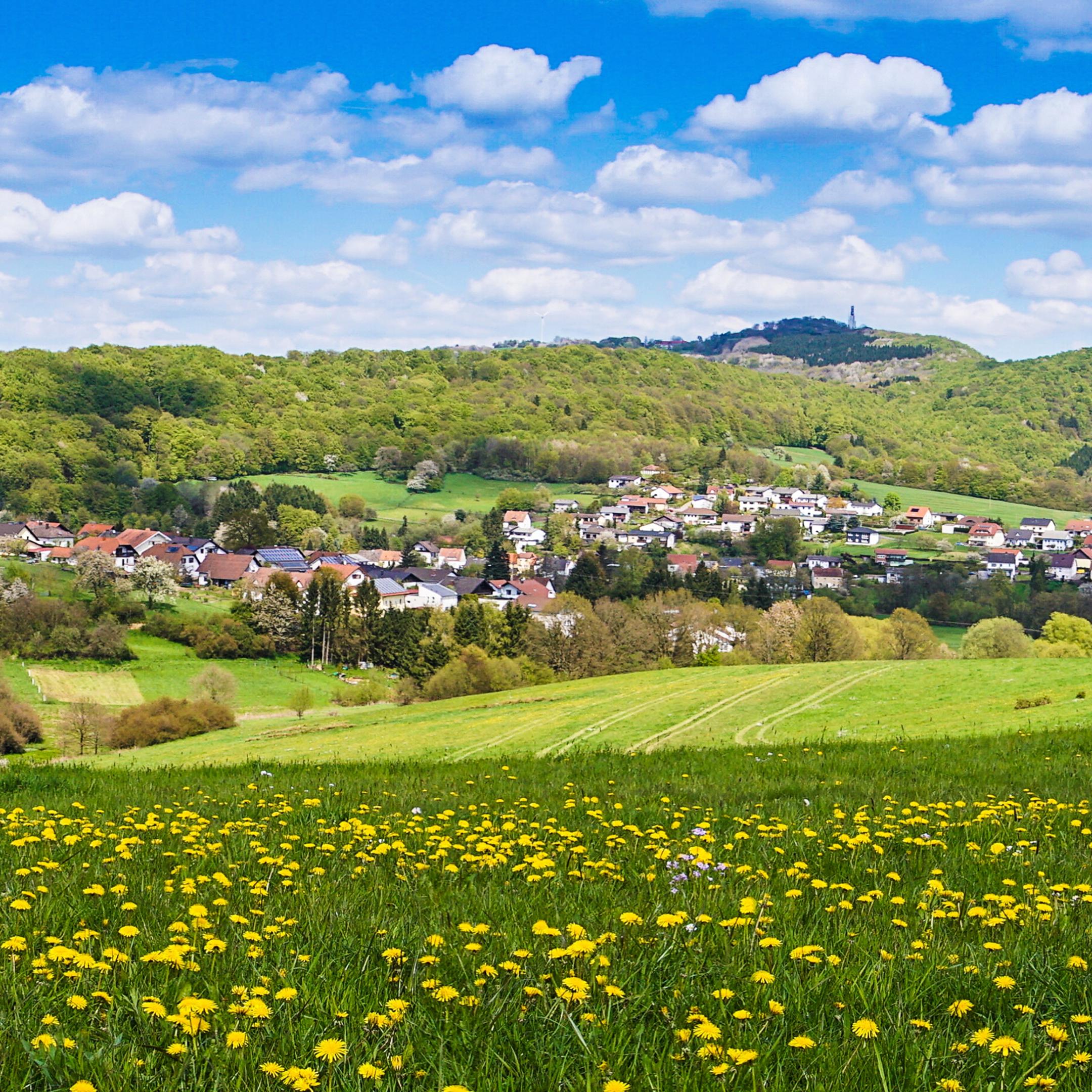 Schaumberg_Fruehling1